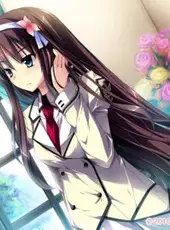 Damatte Watashi no Muko ni Nare! Reona After