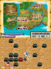 Harvest Moon DS: Island of Happiness