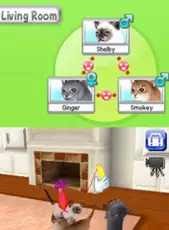 Petz Catz Clan