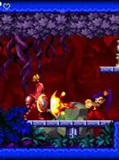 Shantae: Risky's Revenge - Director's Cut