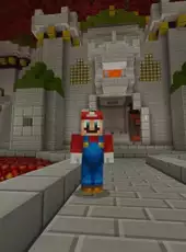 Minecraft: Super Mario Mash-up