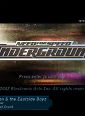 Need for Speed: Underground