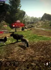 The Wolf