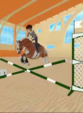 Jumpy Horse Show Jumping