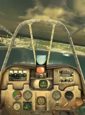 Combat Wings