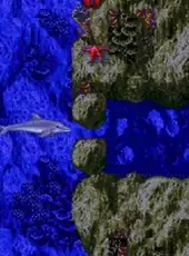 Ecco the Dolphin