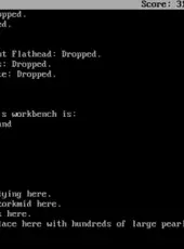 Zork II: The Wizard of Frobozz