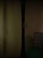 Those Nights at Fredbear's