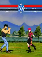 Ninku: Tsuyokina Yatsura no Daigekitotsu!