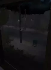 Trash Horror Collection