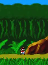 Super Mario's Wacky Worlds