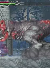 Castlevania: Dawn of Sorrow