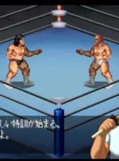 Fire Pro Wrestling G