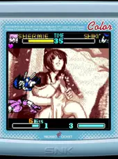 SNK Gals' Fighters
