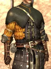 Dragon Age II: Rogue Item Pack