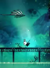 Hollow Knight: Voidheart Edition