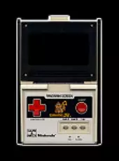 Donkey Kong Jr.