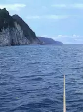 Reel Fishing II