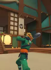 Ninja Party