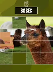 Easy Puzzle: Animals