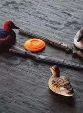 TheHunter: Call of the Wild - Salzwiesen Park