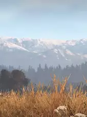 This Land Is My Land