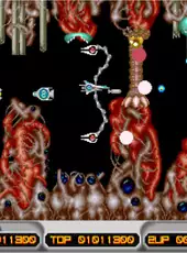 Arcade Archives: X Multiply