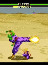 Dragon Ball Z: Super Butouden 2