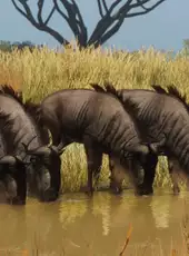 Planet Zoo: Grasslands Animal Pack