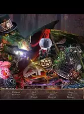 Surface: The Soaring City