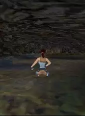 Tomb Raider: The Lost Artifact