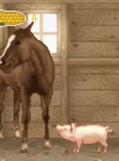 Charlotte's Web