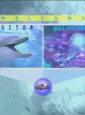 Melon Brains: Exploring The Mind Of The Dolphin