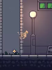 Rooftop Rascal: The Drizzle Cat