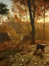 TheHunter: Call of the Wild - Salzwiesen Park