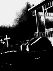 White Night