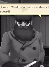 The Great Ace Attorney: Adventures