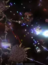 Stellatum