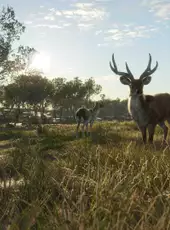 theHunter: Call of the Wild - Emerald Coast Australia