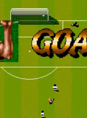 Championship Soccer '94