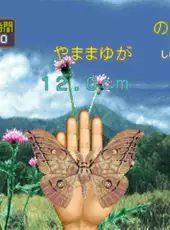 Mushi Taro