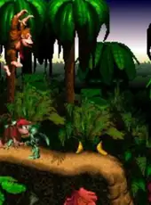 Donkey Kong Country