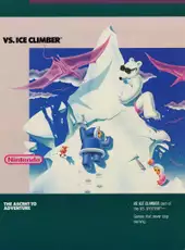 Vs. Ice Climber