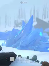 Project Winter