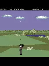 Nick Faldo's Championship Golf