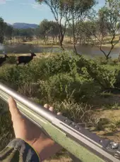theHunter: Call of the Wild - Emerald Coast Australia