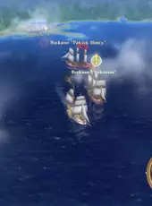 Swashbucklers: Blue vs. Grey