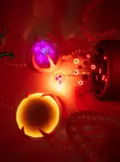 Invirium