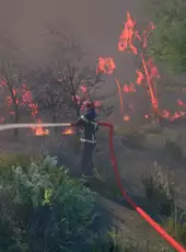 Rescue Ops: Wildfire
