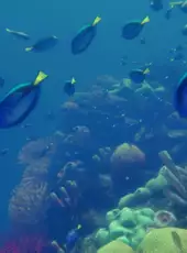 Deep Diving Simulator